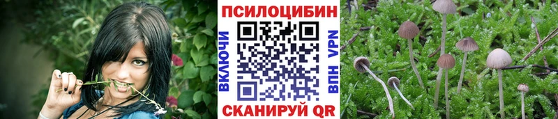 Псилоцибиновые грибы мицелий  Кашира 