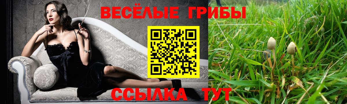 Псилоцибиновые грибы мицелий  Галлюциногенные грибы GOLDEN TEACHER  Вход с VPN  Кашира 